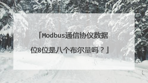 Modbus通信协仪数据位8位是八个布尔量吗？