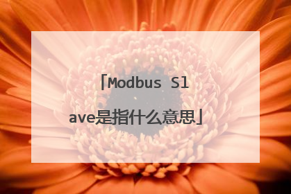 Modbus Slave是指什么意思