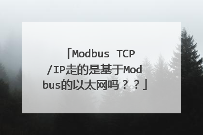 Modbus TCP/IP走的是基于Modbus的以太网吗??