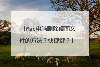 Mac电脑删除桌面文件的方法？快捷键？