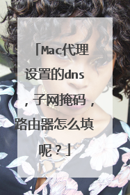 Mac代理设置的dns，子网掩码，路由器怎么填呢？