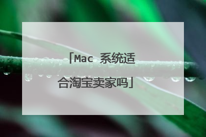 Mac 系统适合淘宝卖家吗