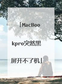 MacBookpro突然黑屏开不了机