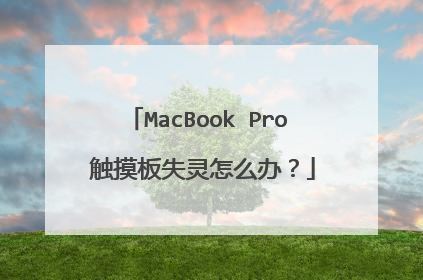 MacBook Pro 触摸板失灵怎么办?