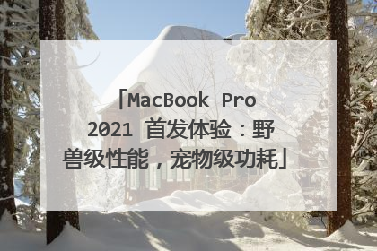 MacBook Pro 2021 首发体验:野兽级性能,宠物级功耗