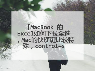 MacBook 的 Excel如何下拉全选，Mac的快捷键比较特殊，control+shift+下