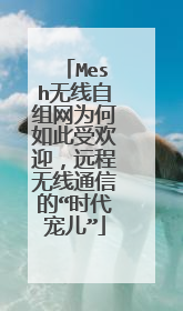 Mesh无线自组网为何如此受欢迎，远程无线通信的“时代宠儿”