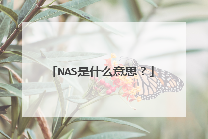 NAS是什么意思?