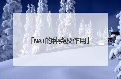 NAT的种类及作用