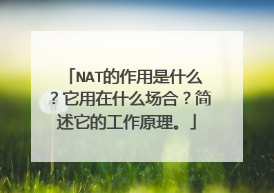 NAT的作用是什么？它用在什么场合？简述它的工作原理。