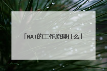 NAT的工作原理什么