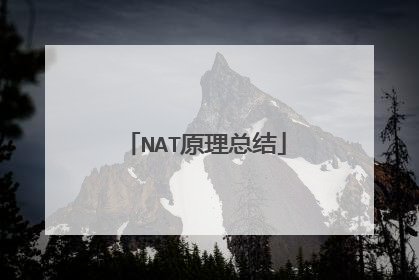 NAT原理总结