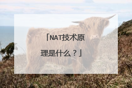 NAT技术原理是什么？