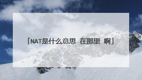 NAT是什么意思 在那里 啊