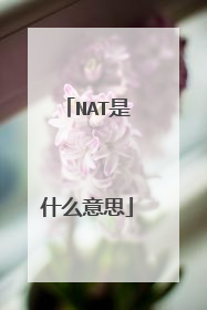 NAT是什么意思