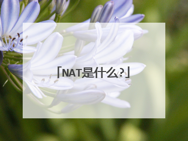 NAT是什么?