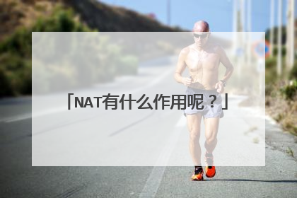NAT有什么作用呢?