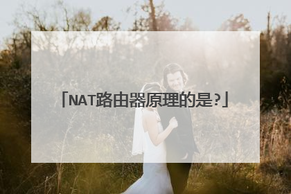 NAT路由器原理的是?
