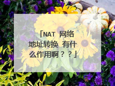 NAT 网络地址转换 有什么作用啊??