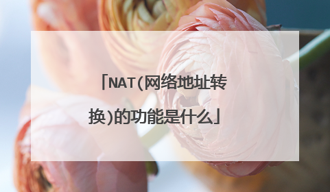 NAT(网络地址转换)的功能是什么