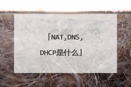 NAT,DNS,DHCP是什么