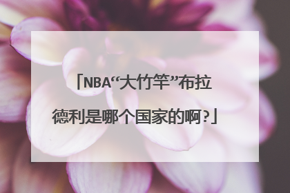 NBA“大竹竿”布拉德利是哪个国家的啊?