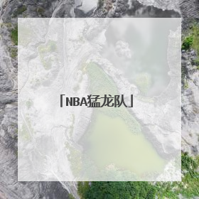NBA猛龙队
