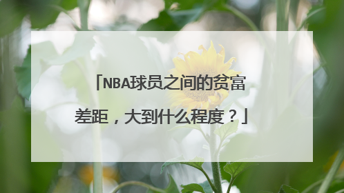 NBA球员之间的贫富差距,大到什么程度?