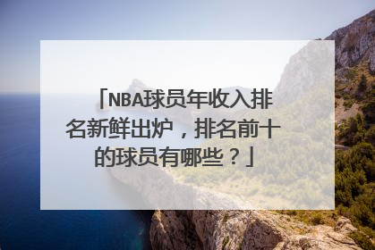 NBA球员年收入排名新鲜出炉，排名前十的球员有哪些？