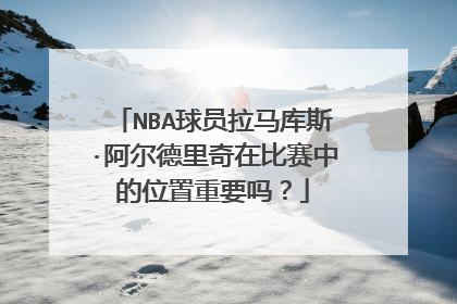NBA球员拉马库斯·阿尔德里奇在比赛中的位置重要吗？