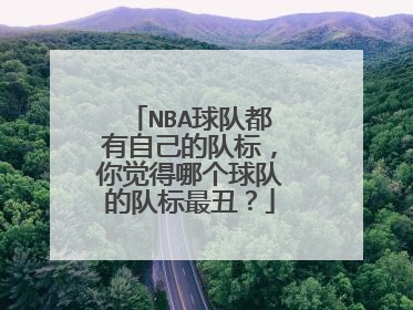 NBA球队都有自己的队标,你觉得哪个球队的队标最丑?