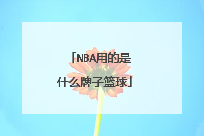 NBA用的是什么牌子篮球