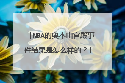 NBA的奥本山宫殿事件结果是怎么样的？