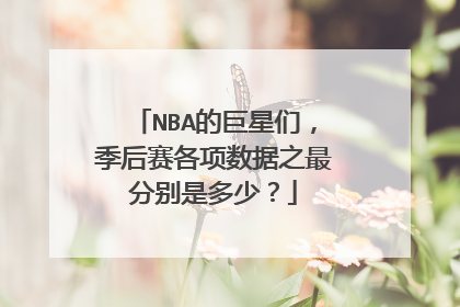 NBA的巨星们，季后赛各项数据之最分别是多少？