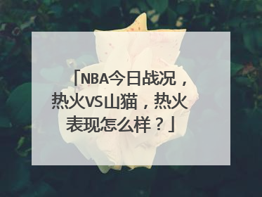 NBA今日战况，热火VS山猫，热火表现怎么样？