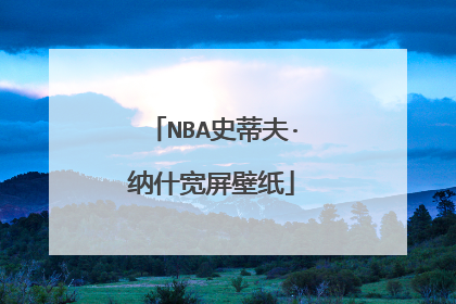 NBA史蒂夫·纳什宽屏壁纸