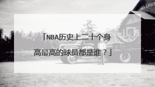 NBA历史上二十个身高最高的球员都是谁？