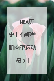 NBA历史上有哪些肌肉型运动员？