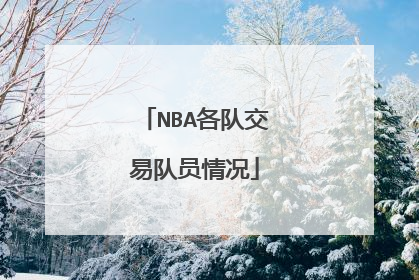 NBA各队交易队员情况