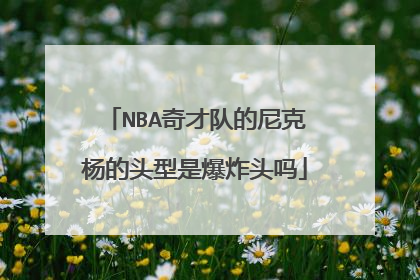 NBA奇才队的尼克杨的头型是爆炸头吗