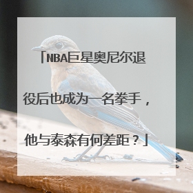 NBA巨星奥尼尔退役后也成为一名拳手，他与泰森有何差距？