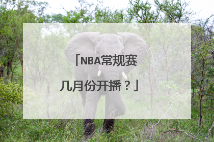NBA常规赛几月份开播？