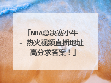 NBA总决赛小牛 - 热火视频直播地址 高分求答案！
