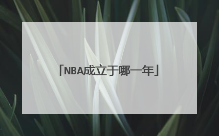 NBA成立于哪一年