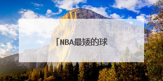 NBA最矮的球员不到一米七，你知道他们是谁吗