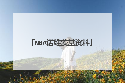 NBA诺维茨基资料