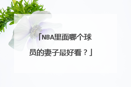 NBA里面哪个球员的妻子最好看?