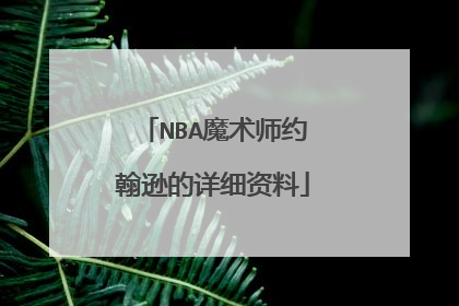NBA魔术师约翰逊的详细资料