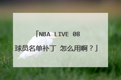 NBA LIVE 08 球员名单补丁 怎么用啊？