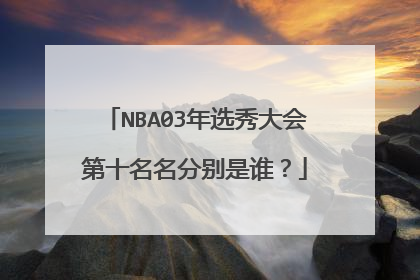 NBA03年选秀大会第十名名分别是谁?